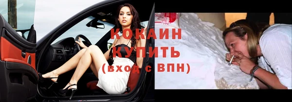 ПСИЛОЦИБИНОВЫЕ ГРИБЫ Тавда